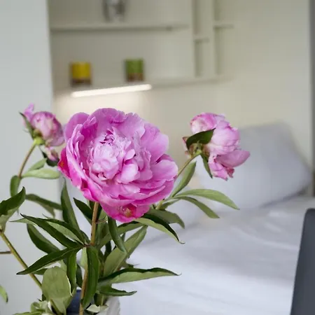 Lägenhet Strandnahe Ferienwohnung Frische Brise 01.08